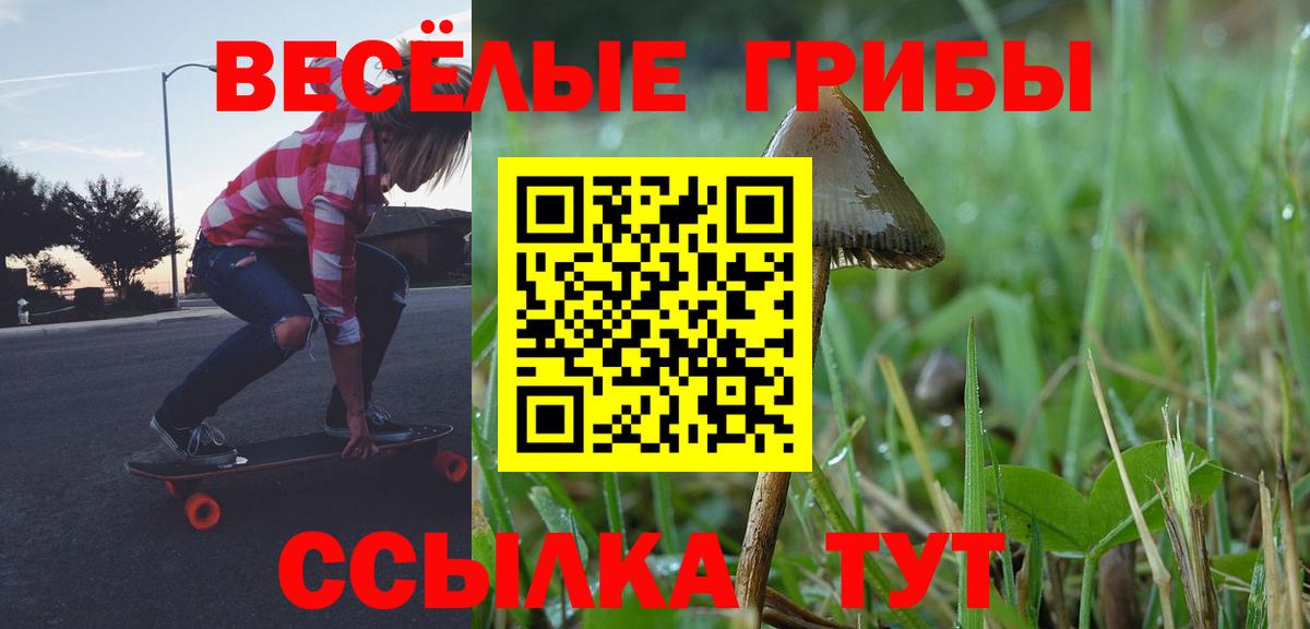 Галлюциногенные грибы MAGIC MUSHROOMS Усть-Лабинск